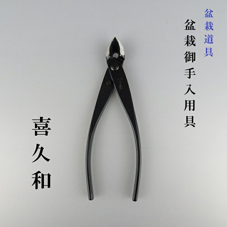 The