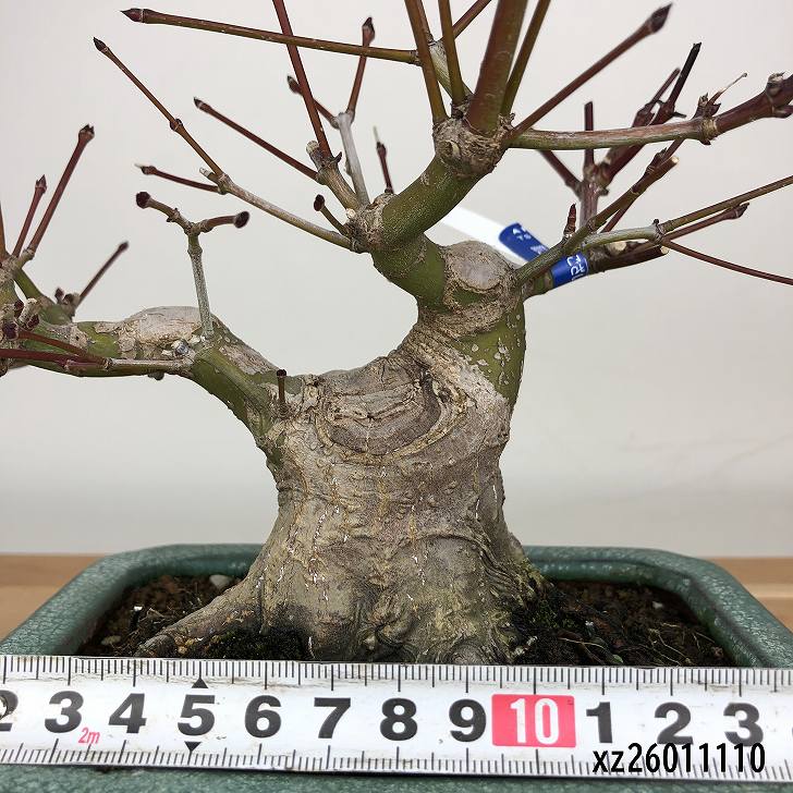 此商品圖像無法被轉載請進入原始網查看