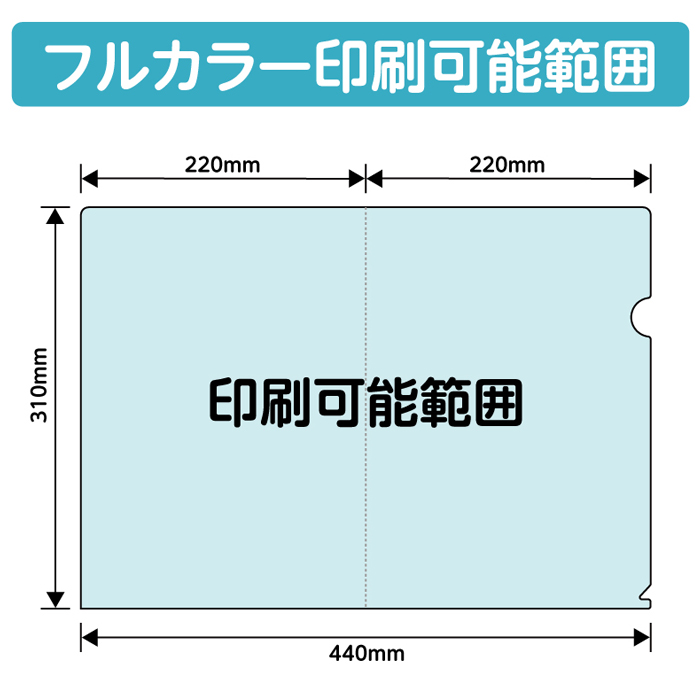 A4 クリアファイル フルカラー 印刷 5000枚 両面 全面 オリジナル 写真