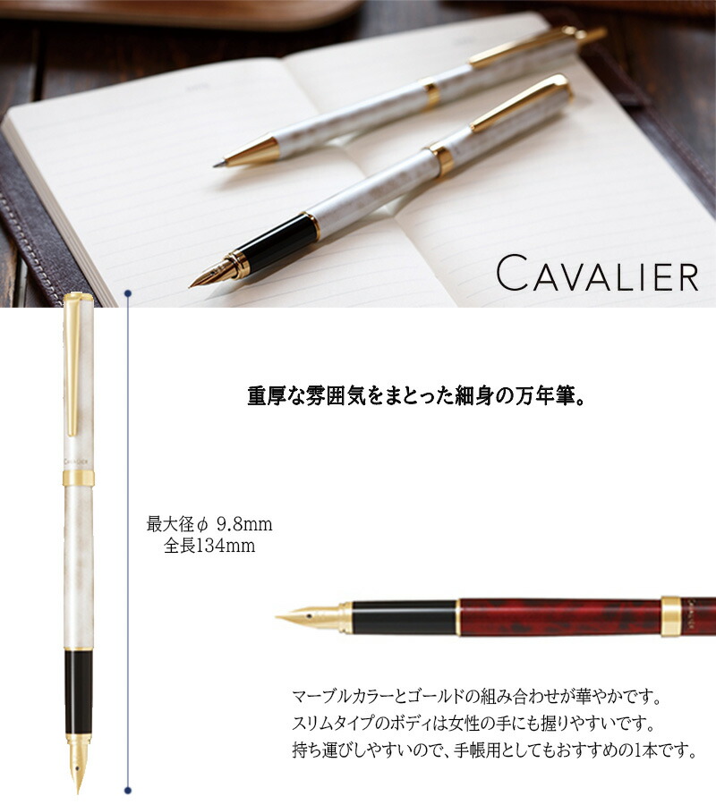 PILOT パイロット カヴァリエ 万年筆 FCAN-5SR 細字・中字 : fcan-5sr : 印鑑と文具と雑貨のはんこキング - 通販 -  Yahoo!ショッピング