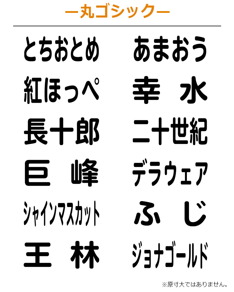 Xスタンパー シヤチハタ 角型印 果物品種表示用スタンプ 2651号 (印面