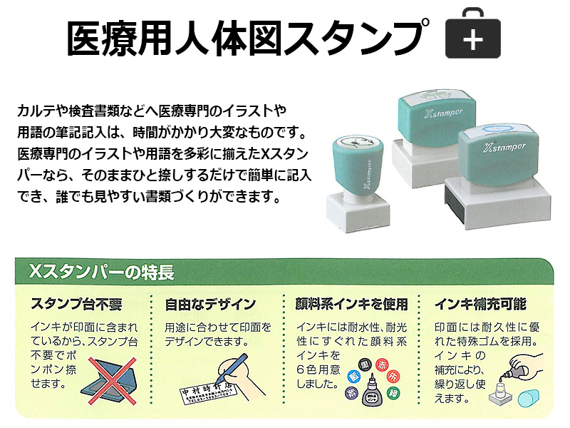 シヤチハタ 医療用人体図 全身（女性背面） Xスタンパー 角型印 40100