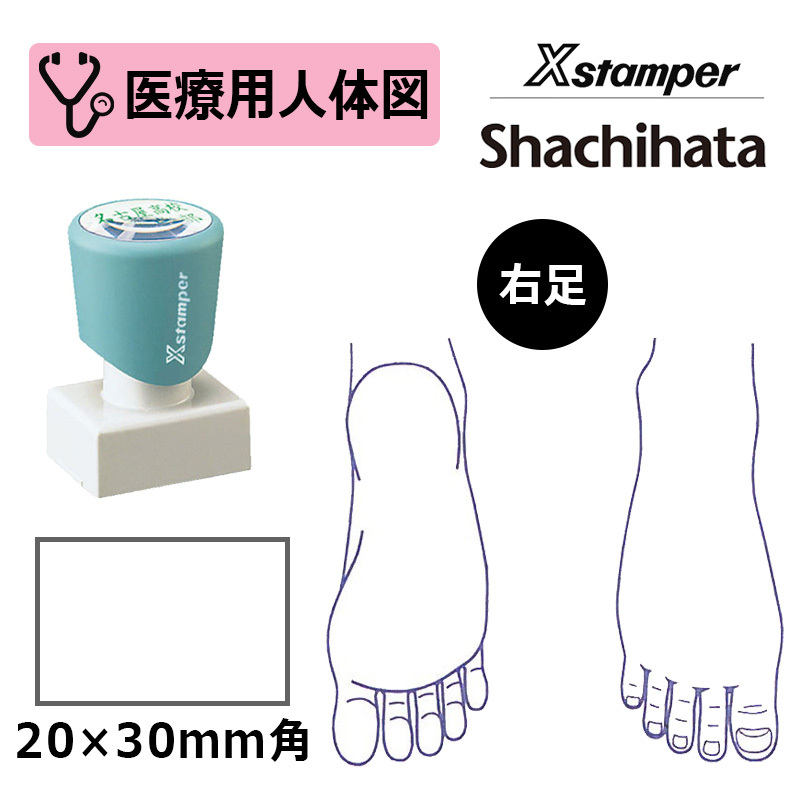 シヤチハタ 医療用人体図（右足） Xスタンパー 角型印 2030号 ( 印面サイズ:20×30mm ) 医療・病院・看護師・ナース・整体師 はんこ  スタンプ :migi-ashi-2030:印鑑と文具と雑貨のはんこキング - 通販 - Yahoo!ショッピング