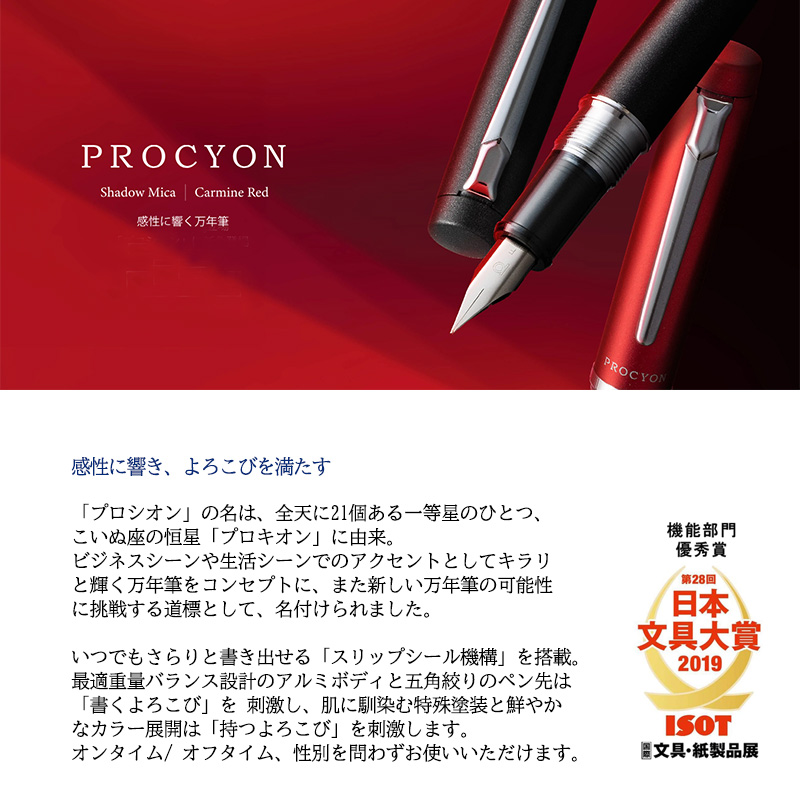 PLATINUM プラチナ PROCYON プロシオン 万年筆 F(細字)/M(中字) PNS