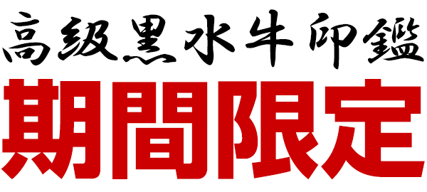 ケース付き黒水牛印鑑