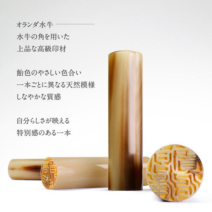 印鑑 はんこ 実印 女性 銀行印 オランダ水牛印鑑 10 5 15 0mm 黒モミケース付 作成 判子 印鑑セット 書体 素材 HK080