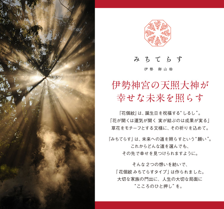 みちてらすタイプ