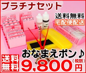 プラチナセット 送料無料 宅配便配送 おなまえぽん 9800円