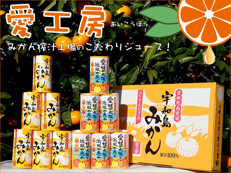 温州みかんストレートジュース３０本（愛工房） : aikoubou-juice