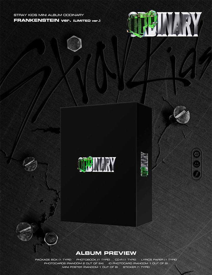 stray kids　プロモアルバム　非売品　サイン入り　ODDINARY　レア stray kids プロモアルバム 非売品 サイン入り ODDINARY レア