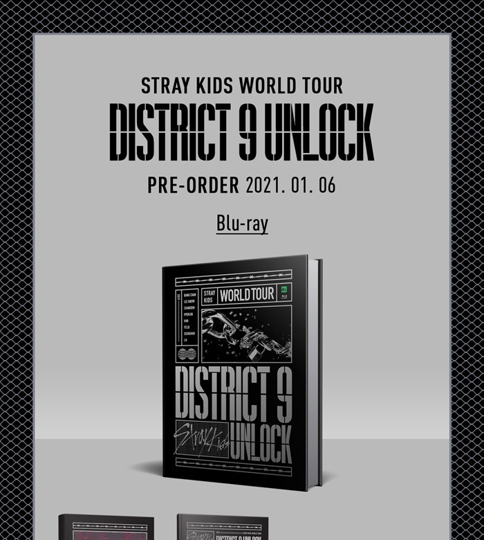 STRAY KIDS ストレイキッズ スキズ WORLD TOUR (DISTRICT 9 : UNLOCK 