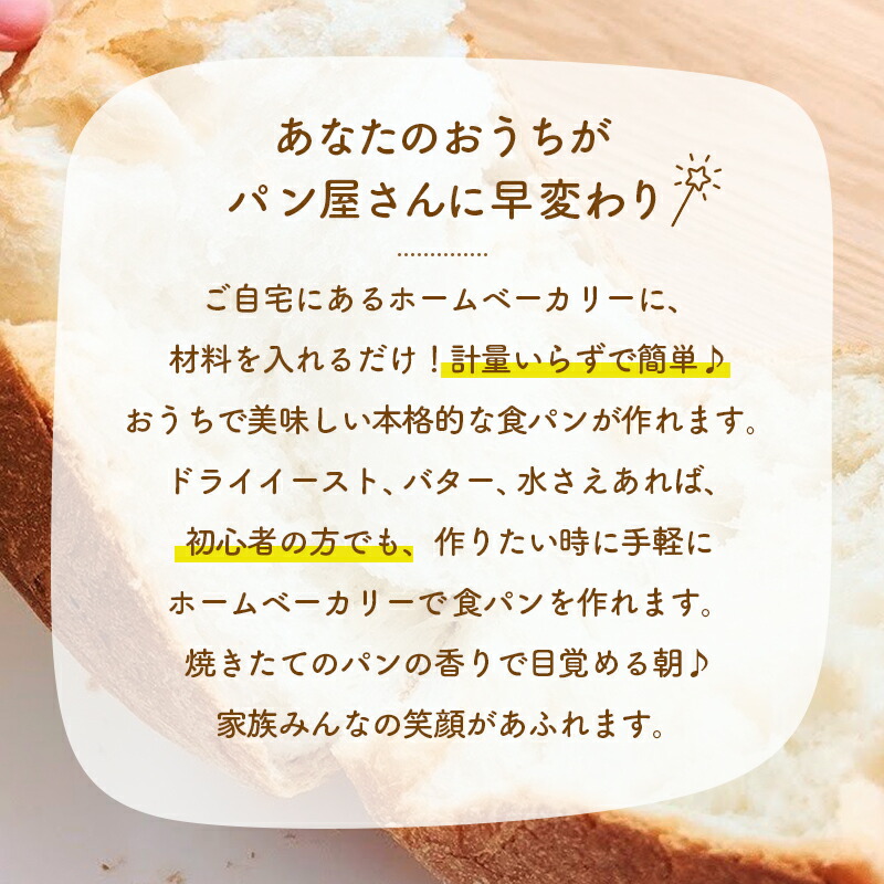 送料無料 高そうな感じの食パンミックスセット【10個】（半鐘屋