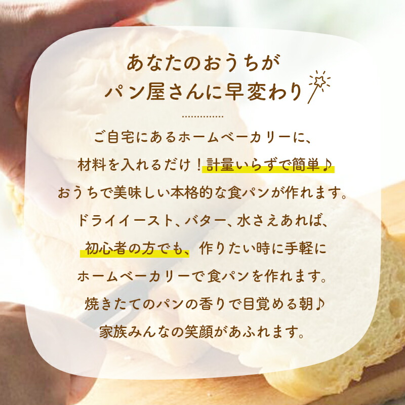 送料無料 純国産 高そうな感じの食パンミックスセット【10個】（半鐘屋