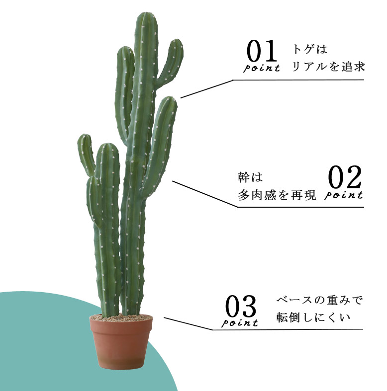 バリ島で購入サボテン（木製） 大