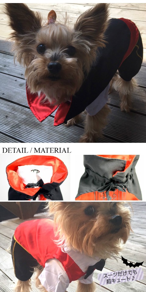 ペットコスプレドラキュラ