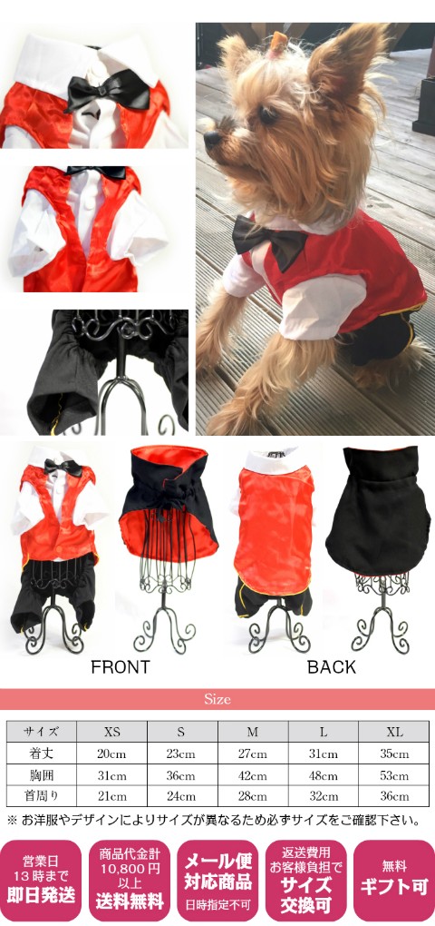 ペットコスプレドラキュラ