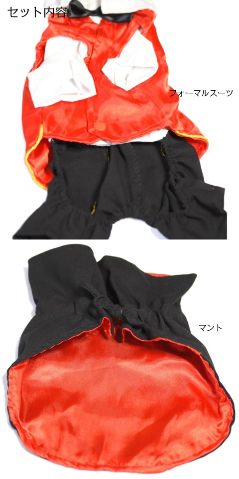 ペットコスプレドラキュラ