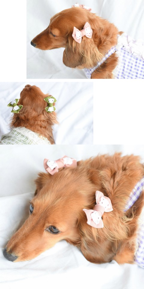 犬 ヘアアクセサリー リボン レース ヘアゴム 2点セット A 髪飾り ハンドメイド P05ha0019 Hapi Co 通販 Yahoo ショッピング