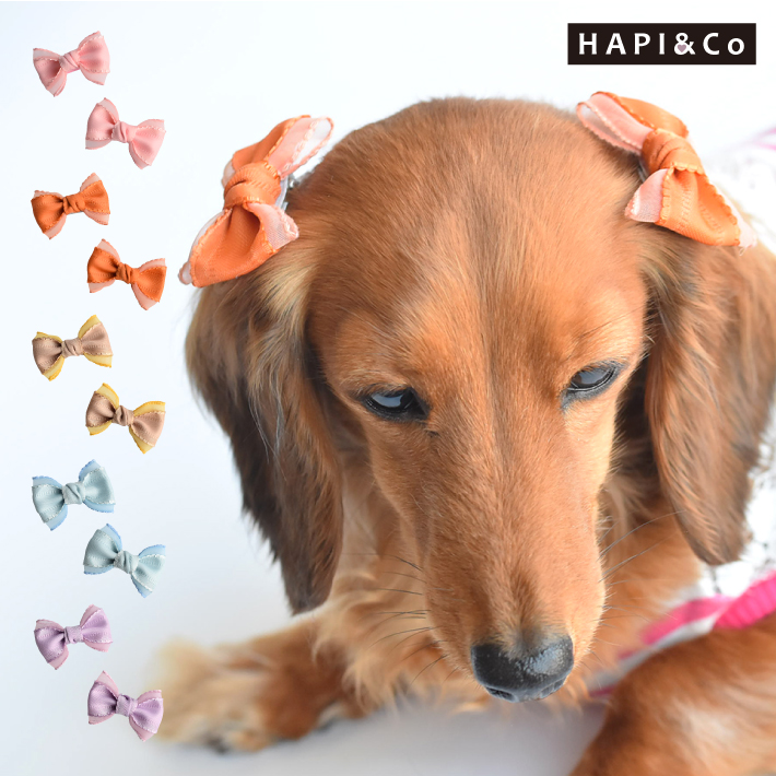 犬 ヘアアクセサリー】シフォン リボン 大きめ ヘアピン 2点