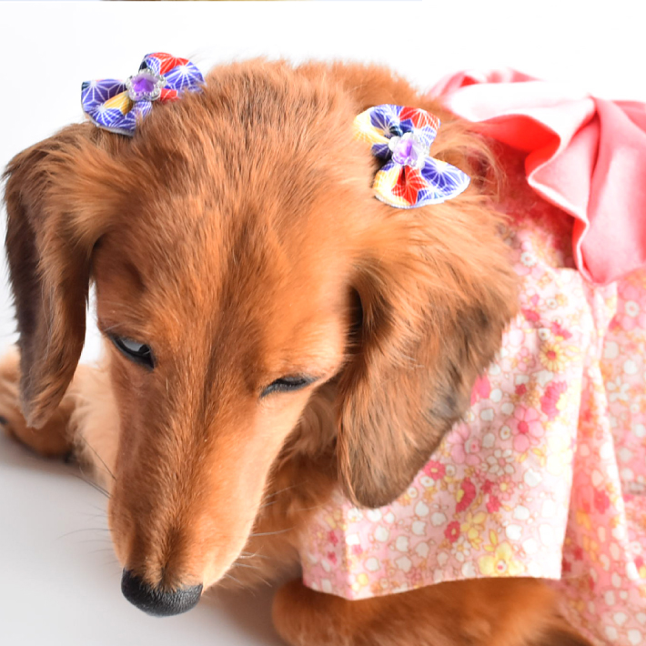 【犬 ヘアアクセサリー】 リボン 和風 花柄 ヘアゴム 6点セット トップノット 髪留め  髪飾り B |  | 09