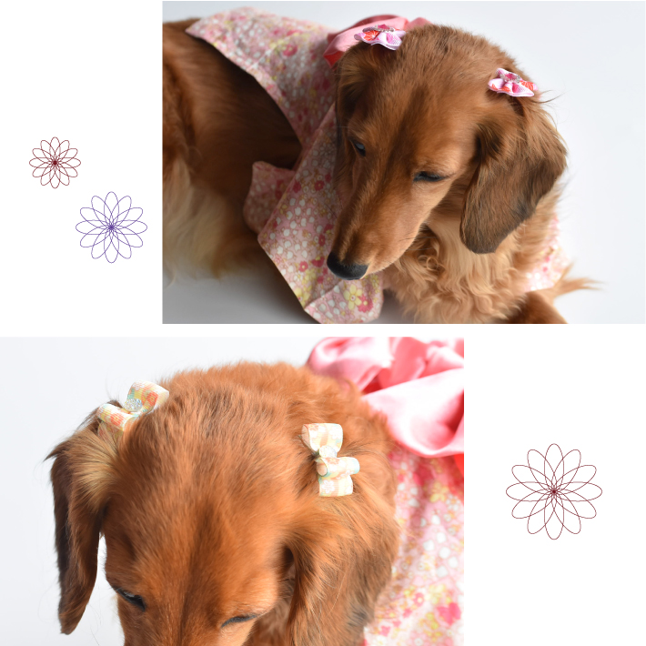 【犬 ヘアアクセサリー】 リボン 和風 花柄 ヘアゴム 6点セット トップノット 髪留め  髪飾り B |  | 10