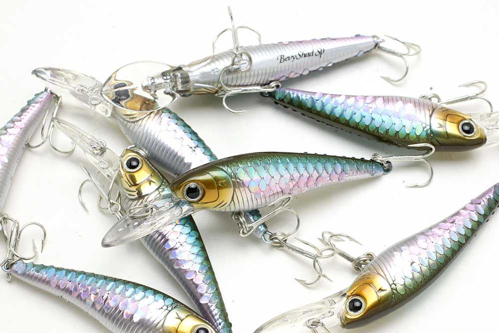 ラッキークラフト ベビーシャッド50SP - ワカサギカラー | LUCKY CRAFT | 01