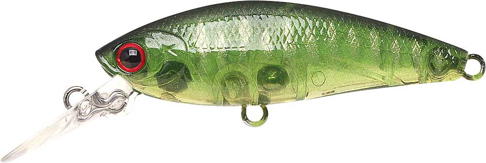 ラッキークラフト タンゴ 55S | LUCKY CRAFT | 06