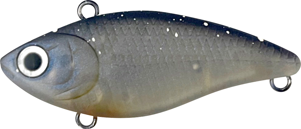 ラッキークラフト ベビーバイブ50SP ~エリアカラー~ | LUCKY CRAFT | 02