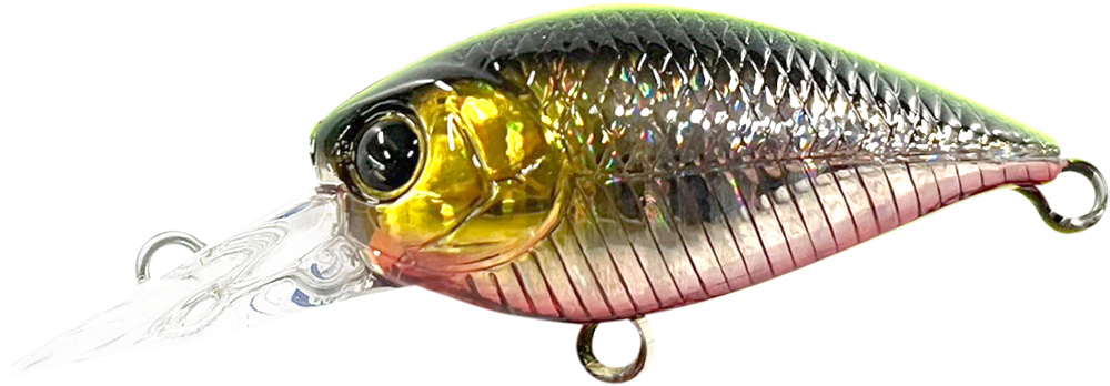 ラッキークラフト ディープクラ・ピー LC MAX F ~ハゼカラー~ | LUCKY CRAFT | 08