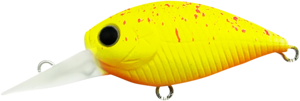 ラッキークラフト ディープクラ・ピー Mini MAX F ~ハゼカラー~ | LUCKY CRAFT | 06