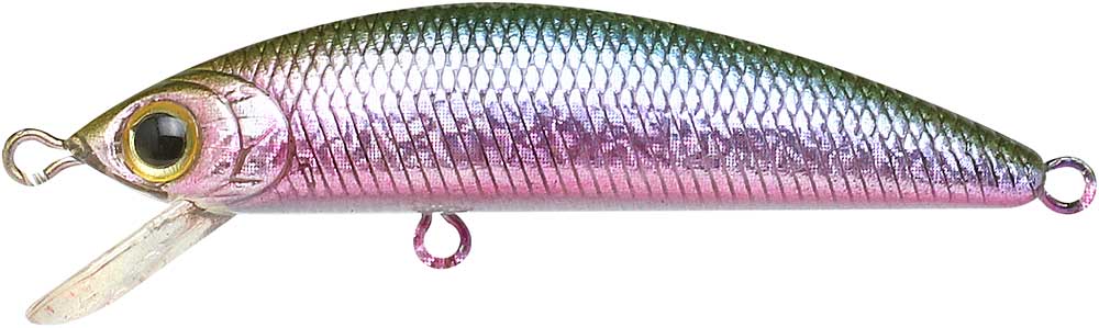 ラッキークラフト ハンプバックミノー 50SP - ミステ ィーレインボー | LUCKY CRAFT | 01