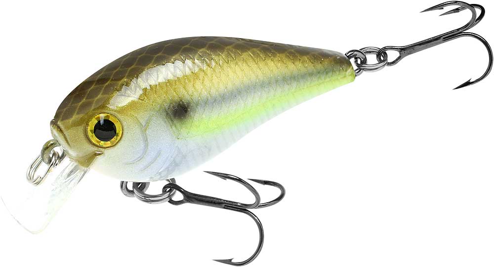 ラピsec＋psa10 スピードシティRC 1/14 ビッグフット トイザらス限定 | Toys”R