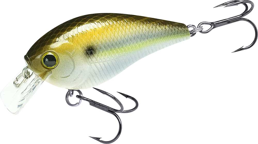 ラッキークラフトUSA LC 1.0サイレント | LUCKY CRAFT | 07