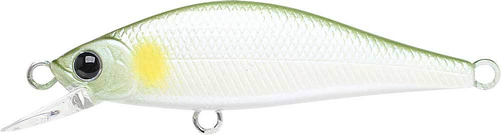 ラッキークラフト ポインター50 6G | LUCKY CRAFT | 02