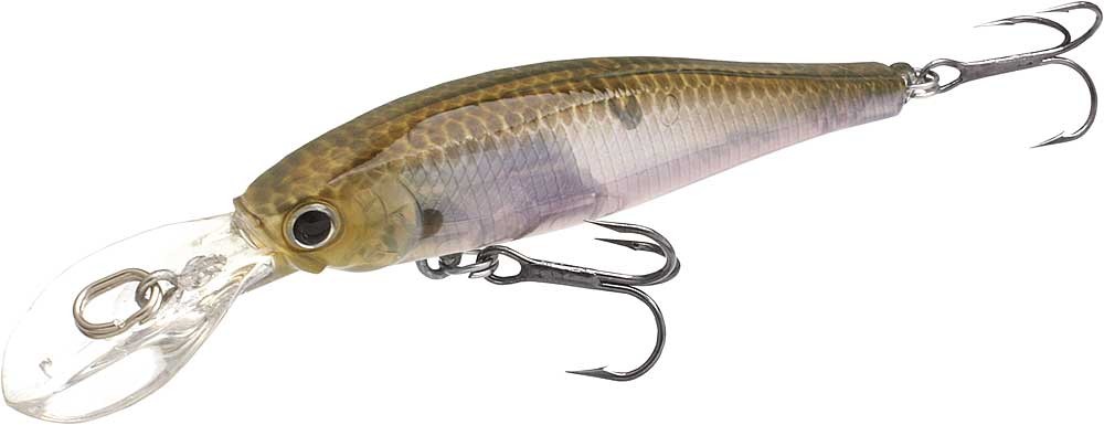 ラッキークラフトUSA ポインター65DD ~ディープダイパー~ - US定番カラー | LUCKY CRAFT | 02