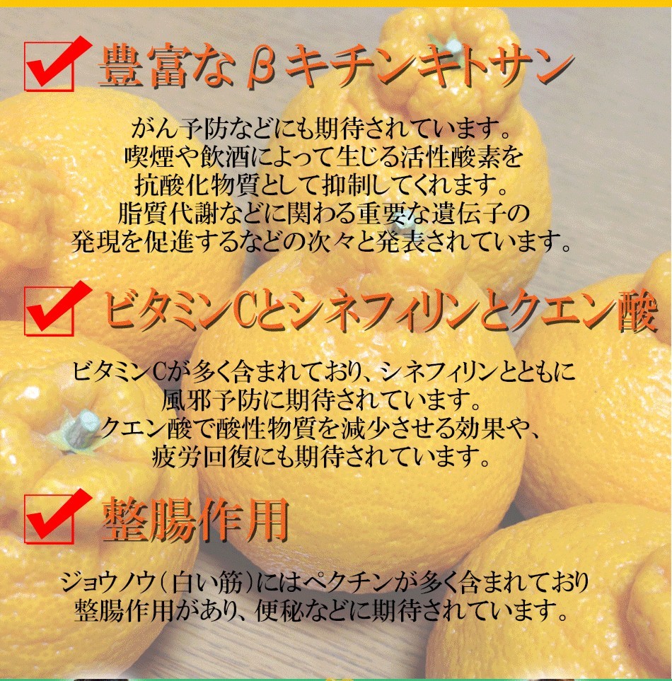 訳あり10kg】最高傑作！庄村さんが作る熊本県不知火地区特産