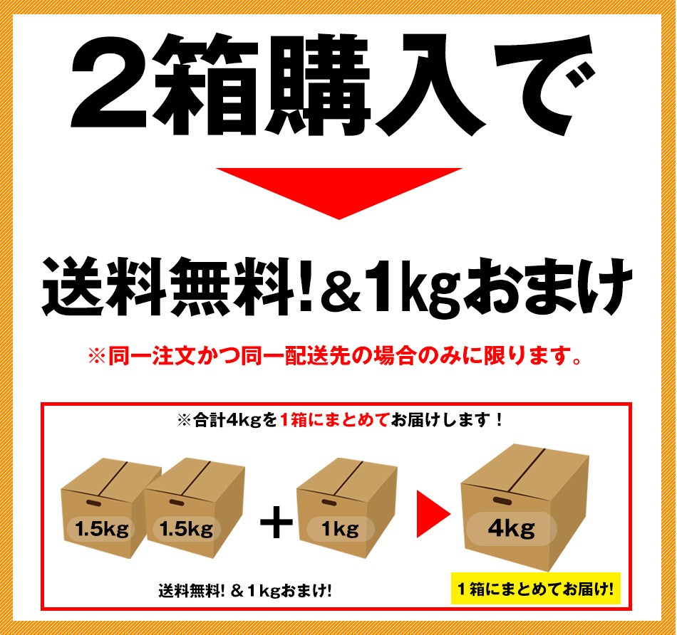 即発送可能】 庄村さんが作る最高傑作みかん 元気と味に自信 熊本県産 まごみかん 10月中旬より順次発送 三角 河内産 極早生ミカン  まとめ買いで超増量 notimundo.com.ec