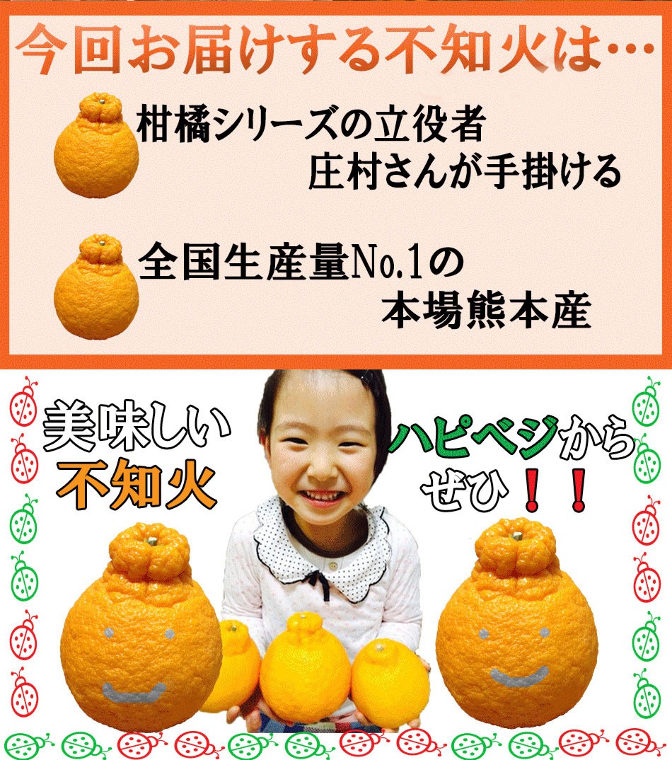 訳あり10kg】最高傑作！庄村さんが作る熊本県不知火地区特産