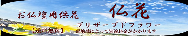 Happiest ヘッダー画像