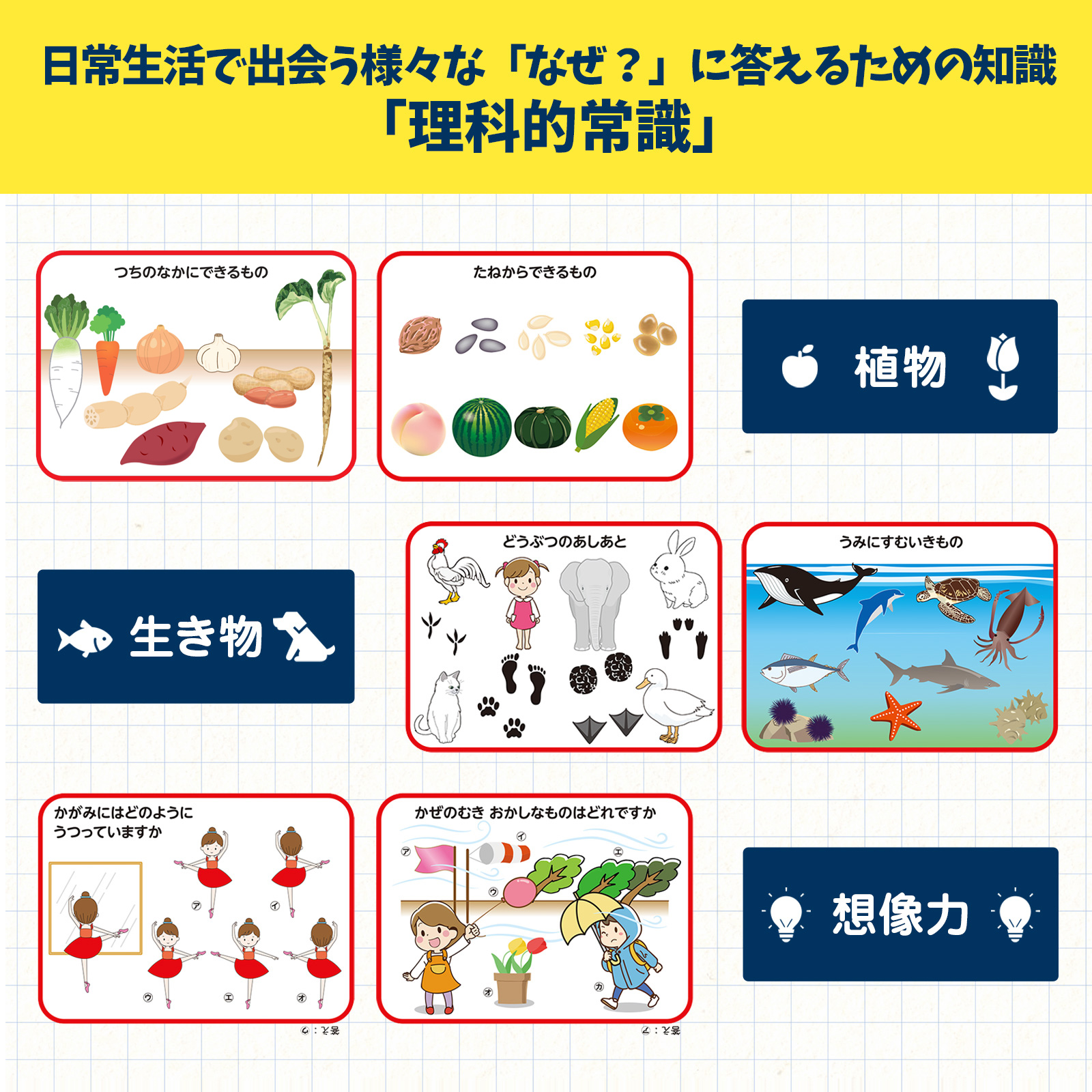 お受験教材 りかのじょうしきポスター お風呂で幼児教室(R) 理科的常識 理科の常識 大きなB2サイズ(728x515mm) 学習ポスター 小学校受験  日本製 お風呂に貼れる