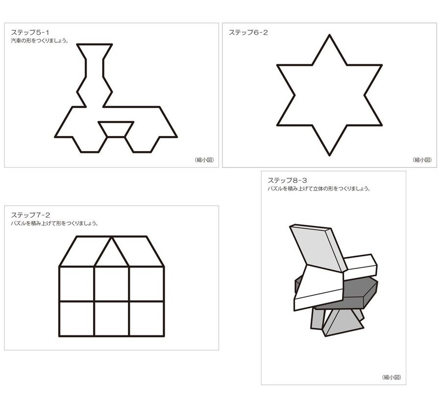 TACHIKARA パターンブロック 教本B タスクカード 幼児教育 教具