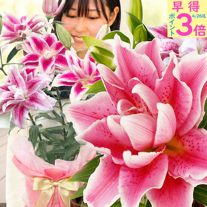 ハッピーガーデン/HappyGarden【Yahoo!ショッピング店】