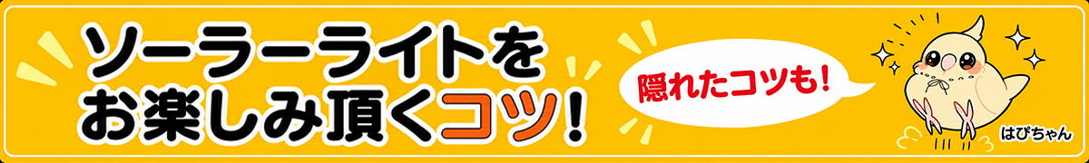 はぴちゃん