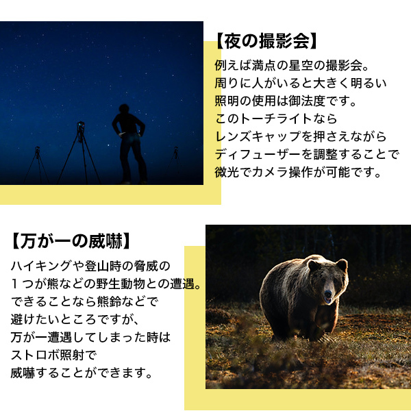 懐中電灯 ランタン トーチライト アウトドア