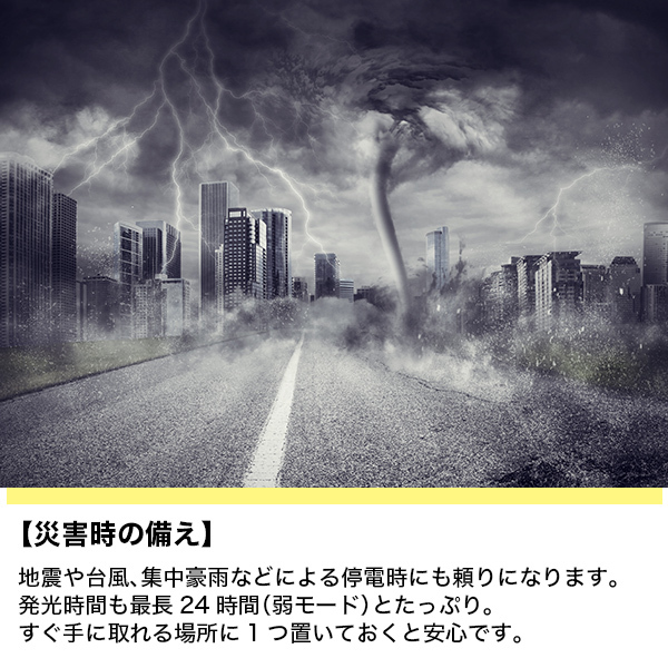 懐中電灯 ランタン トーチライト アウトドア