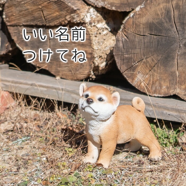 犬 子犬 置き物 オブジェ