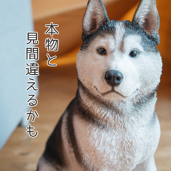 犬 置物 ガーデニング 雑貨 ガーデン オーナメント オブジェ