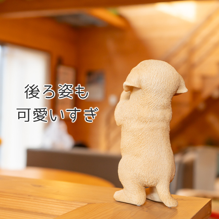 ラフコリー ブルーマール 置き物