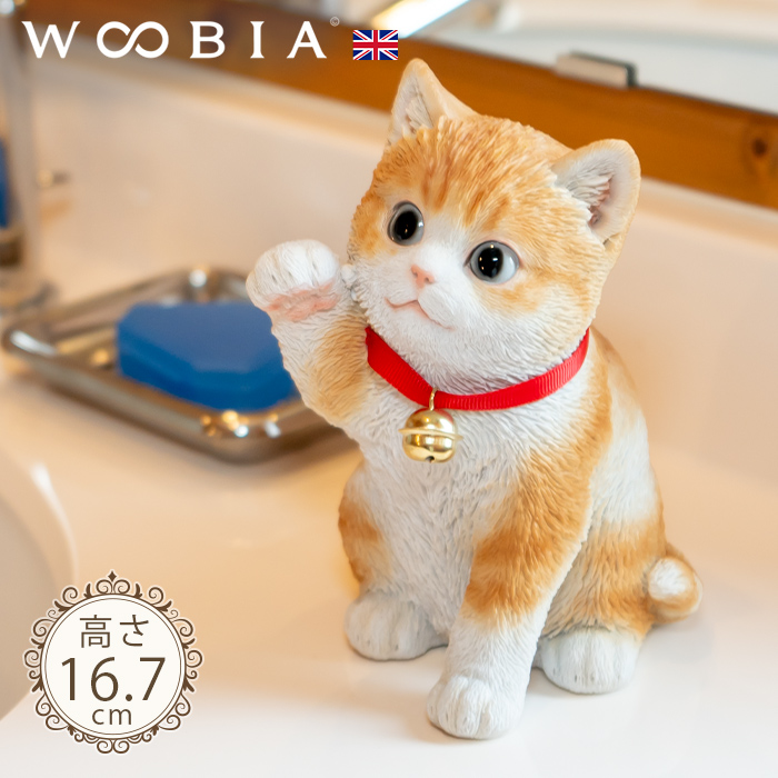 猫の寅さん　専用 Web shop 100個限定】+d｜ネゴ KONCENT限定 茶トラvsサバトラ