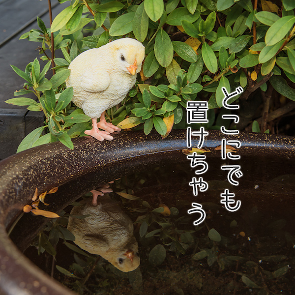 ひよこ ヒヨコ 置き物 オブジェ